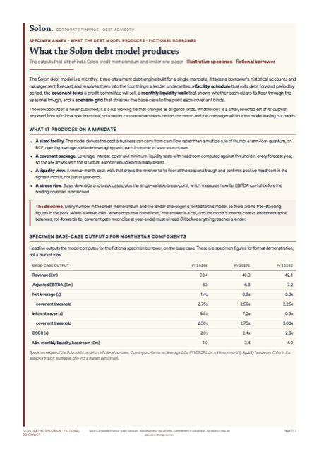 Specimen debt-model outputs, annex page