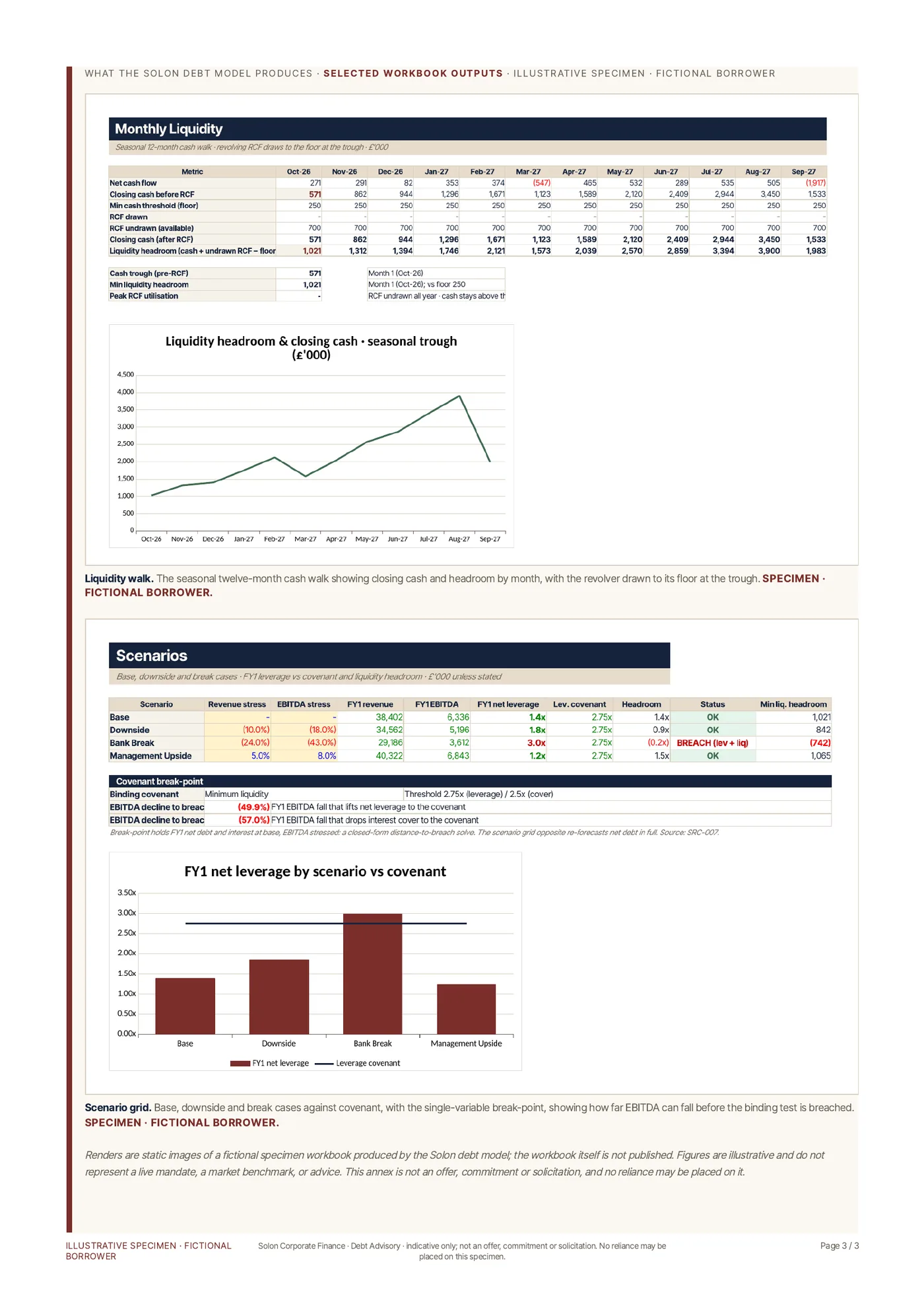 Specimen debt-model outputs, page 3